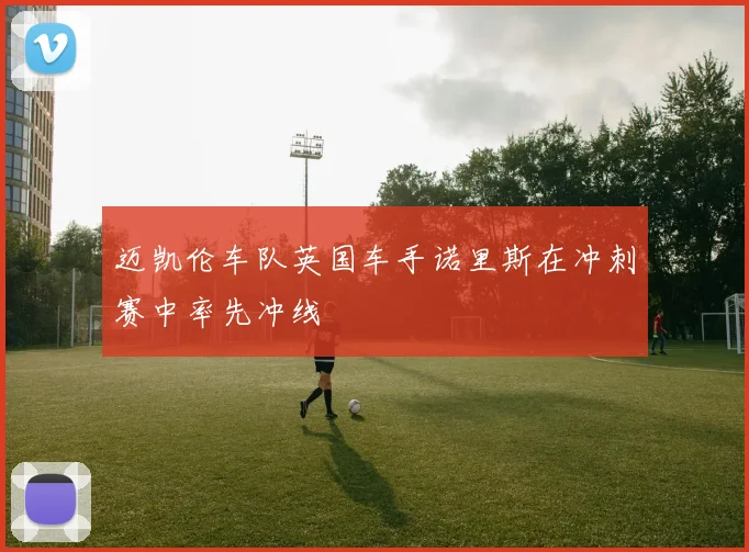 迈凯伦车队英国车手诺里斯在冲刺赛中率先冲线