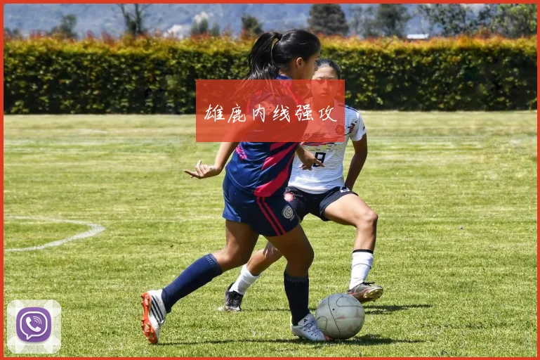 雄鹿内线强攻