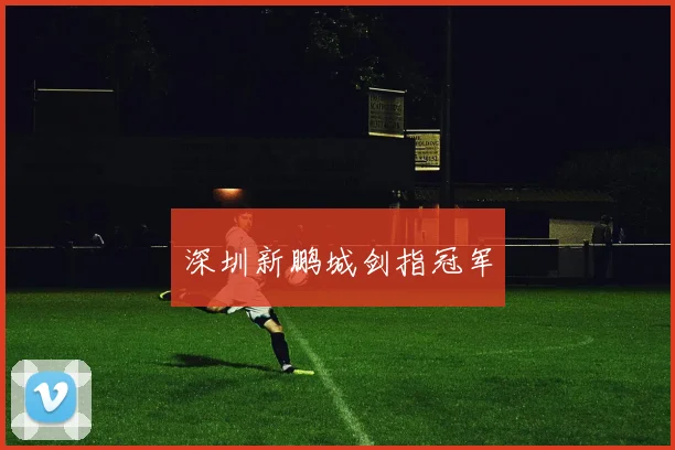 深圳新鹏城剑指冠军