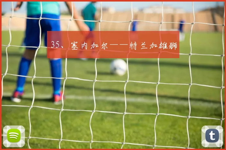 35、塞内加尔——特兰加雄狮