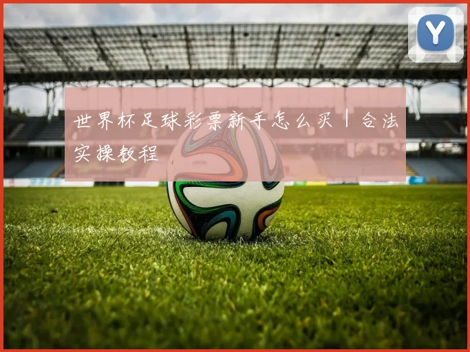 世界杯足球彩票新手怎么买｜合法实操教程