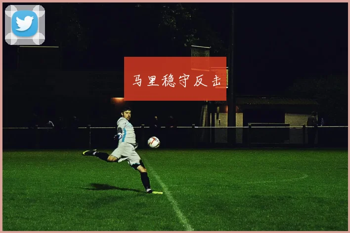 马里稳守反击