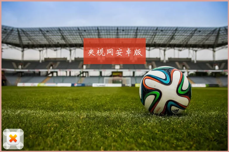 央视网安卓版