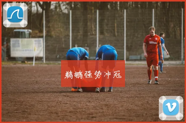 鹈鹕强势冲冠