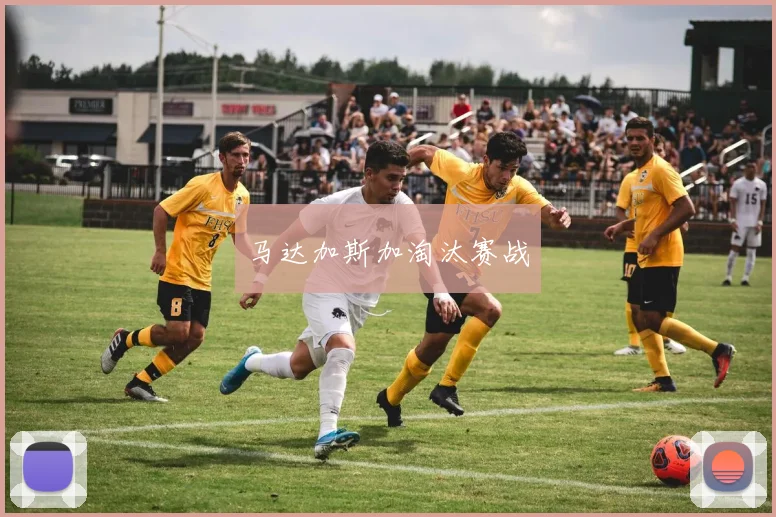 马达加斯加淘汰赛战