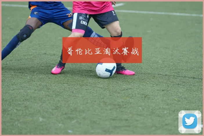 哥伦比亚淘汰赛战