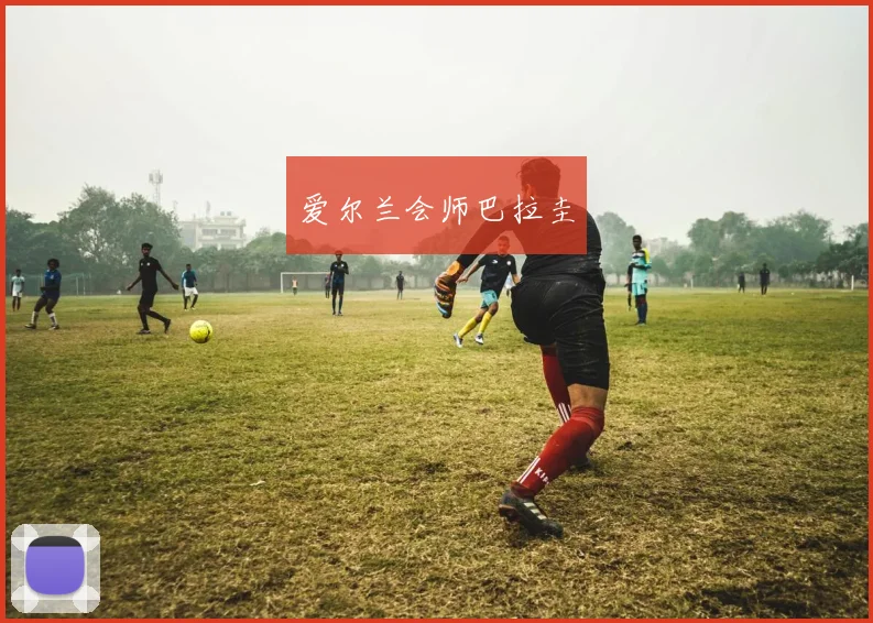爱尔兰会师巴拉圭