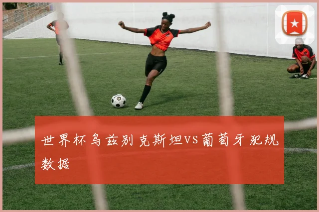 世界杯乌兹别克斯坦vs葡萄牙犯规数据