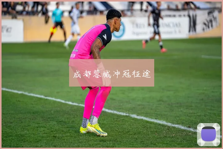 成都蓉城冲冠征途