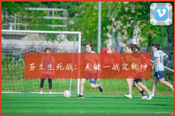 芬兰生死战：关键一战定乾坤