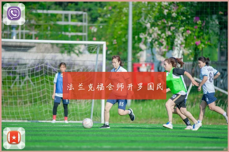 法兰克福会师开罗国民