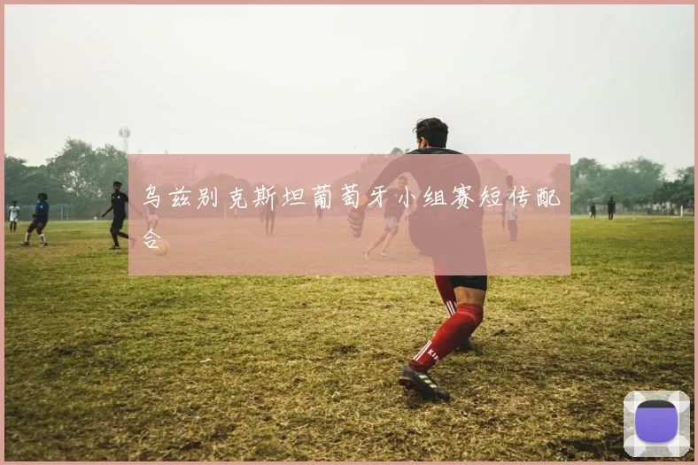 乌兹别克斯坦葡萄牙小组赛短传配合