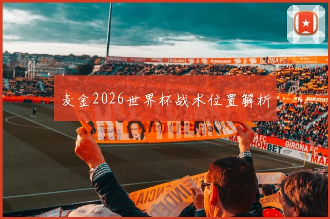 麦金2026世界杯战术位置解析