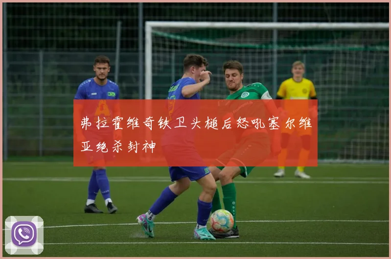 弗拉霍维奇铁卫头槌后怒吼塞尔维亚绝杀封神