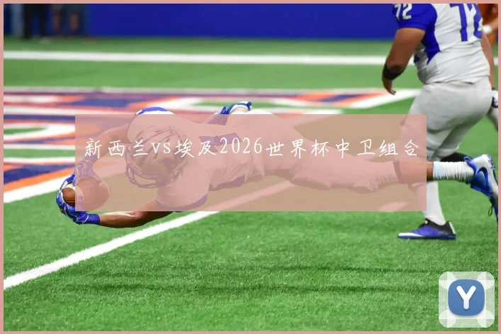 新西兰vs埃及2026世界杯中卫组合