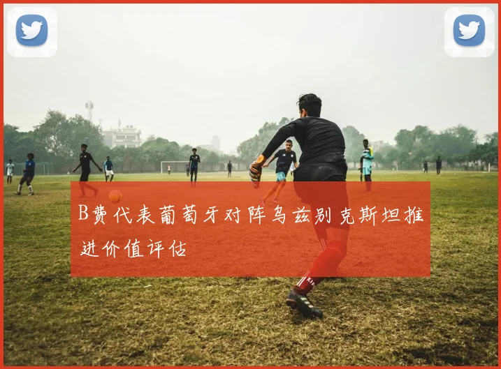 B费代表葡萄牙对阵乌兹别克斯坦推进价值评估