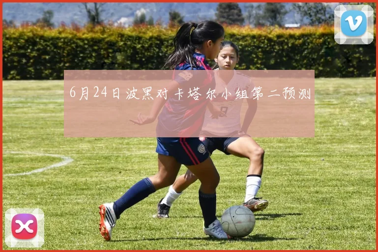 6月24日波黑对卡塔尔小组第二预测