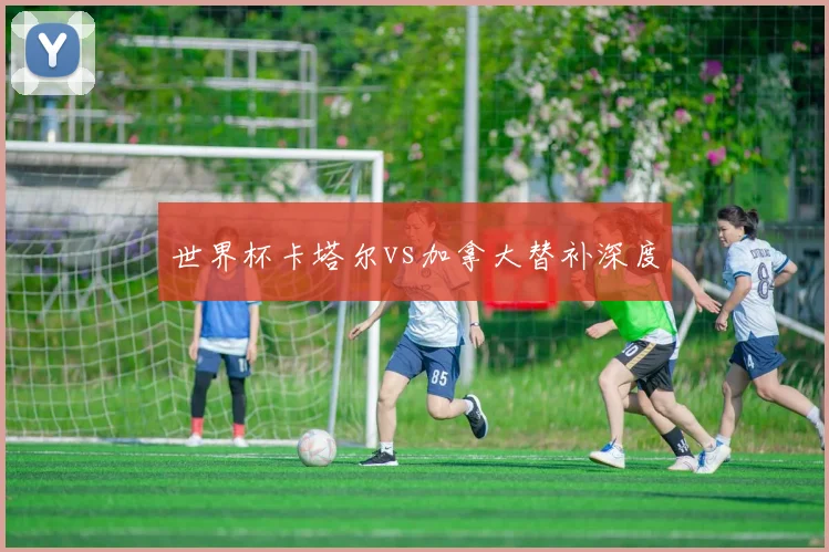世界杯卡塔尔vs加拿大替补深度