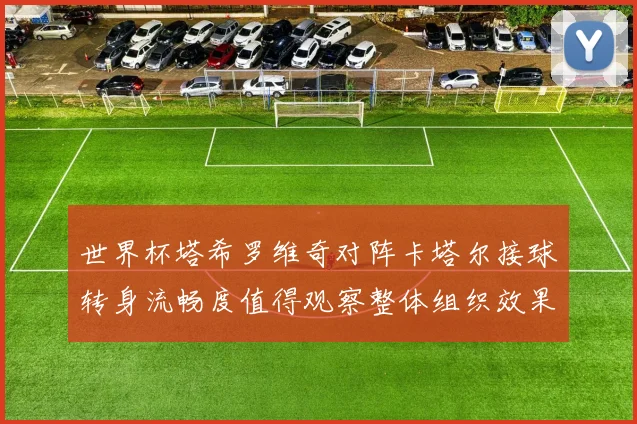 世界杯塔希罗维奇对阵卡塔尔接球转身流畅度值得观察整体组织效果